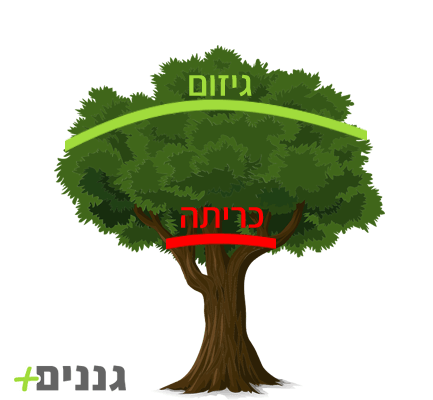 השוני בין גיזום לכריתה